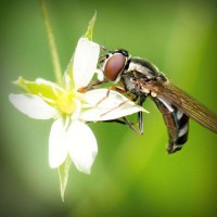 /album/intao7/photolia-a02-jpg/